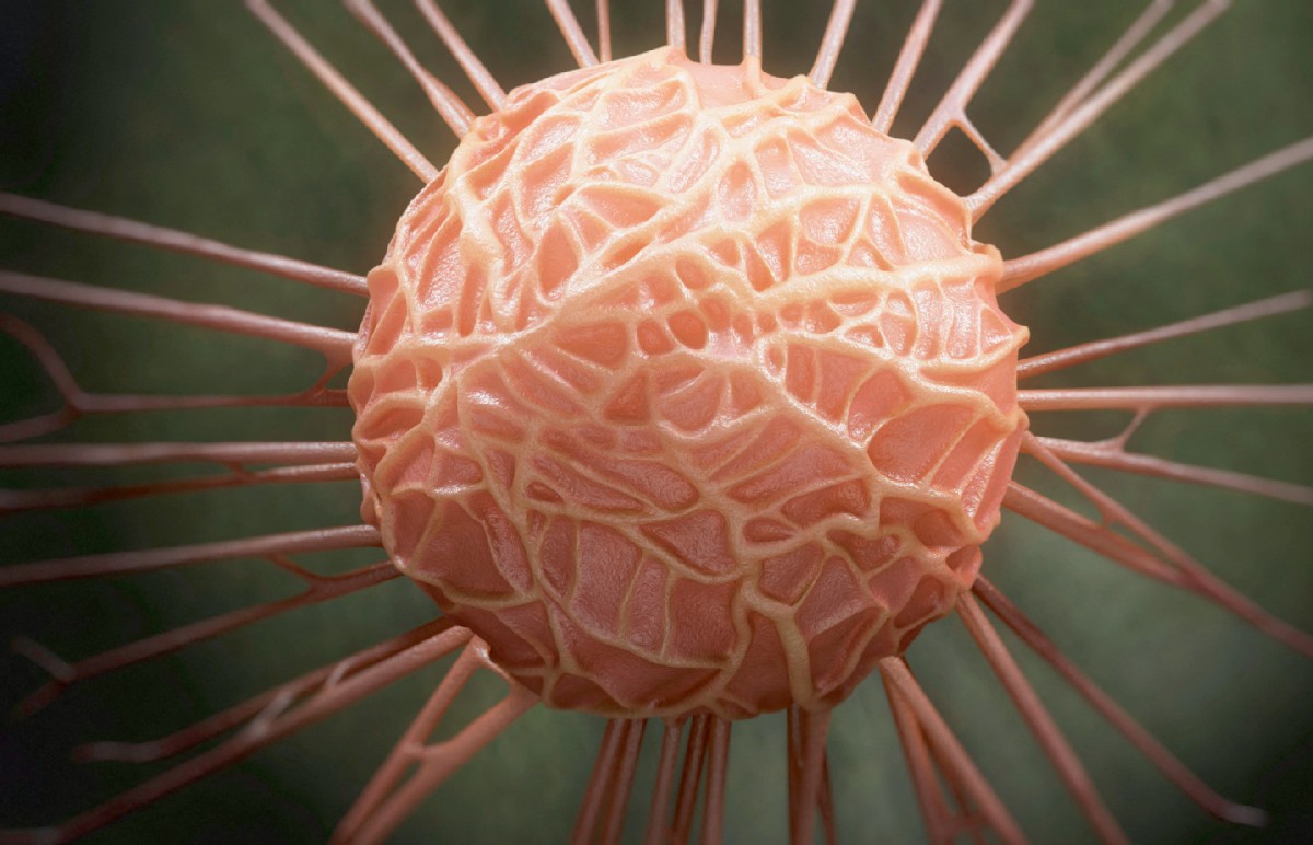 La revolución de la biopsia líquida: cómo neutralizar la resistencia del cáncer antes de que aparezcan los síntomas