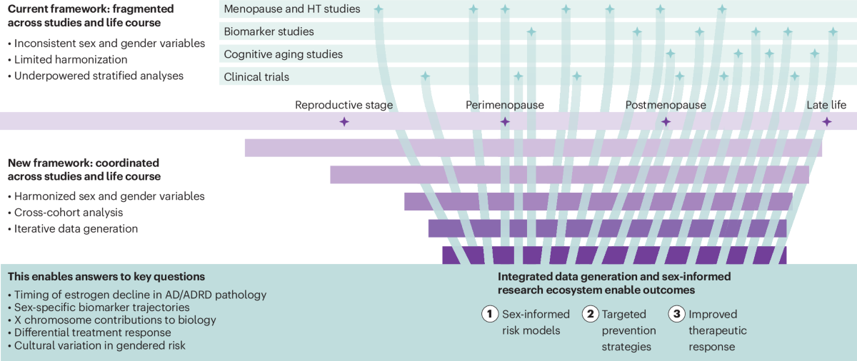Por qué el Alzheimer no envejece igual el cerebro de un hombre y el de una mujer: la revolución de los biomarcadores de precisión